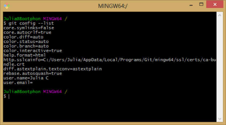 terminal_git_config_windows.png