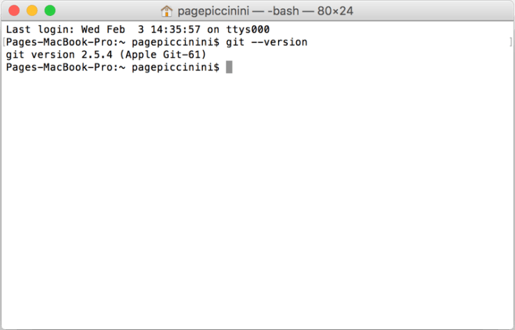 terminal_git_version